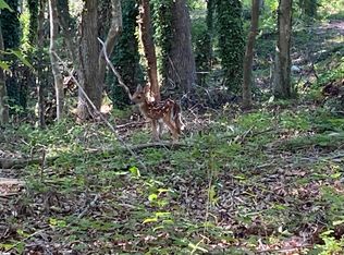 1 E McGee St, Honea Path, SC 29654