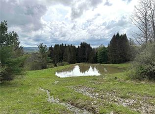 5024 Sleepy Hollow Rd, Friendship, NY 14739