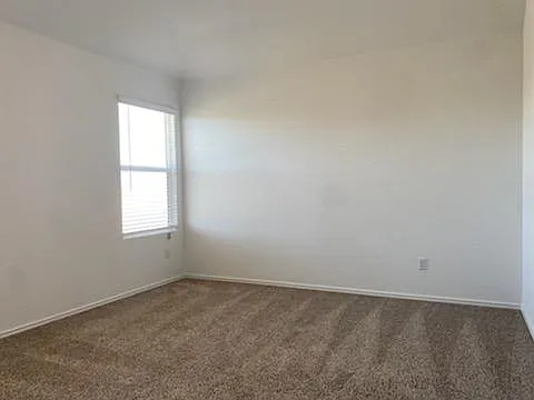 3214 Dusted Daisy St — Photo 12