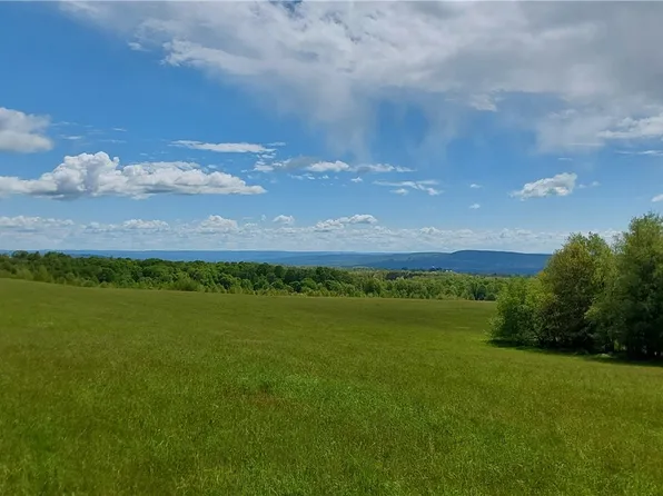 2007 Dairy Hill Rd, Newport, NY 13416