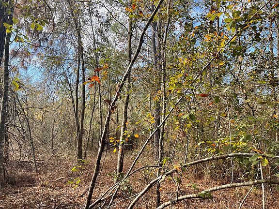 5th image of Adolph Kemp Rd