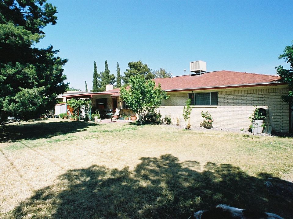 Back yard