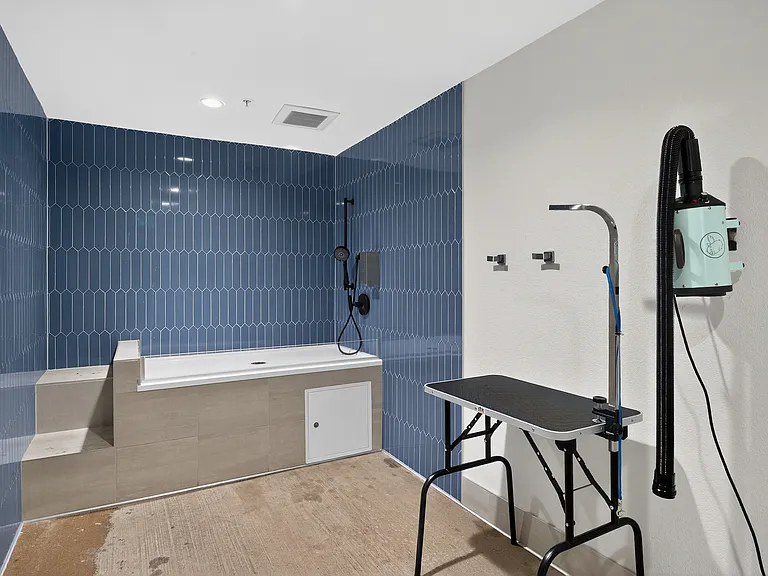 Pet Grooming Station