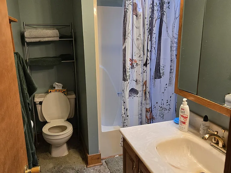 Master bath with large vanity and skylight