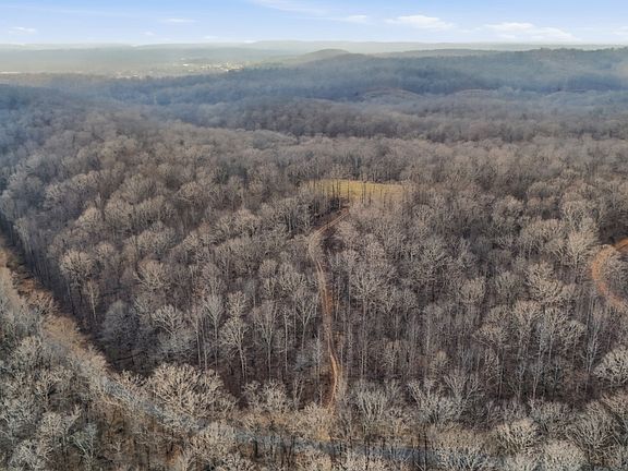 5th image of 1655 Box Hollow Rd