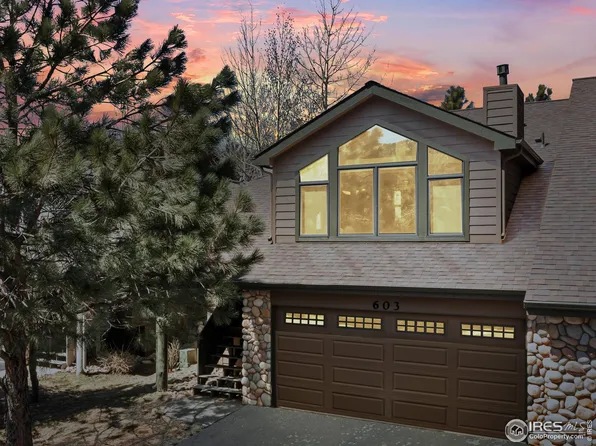 603 Park River Pl, Estes Park, CO 80517