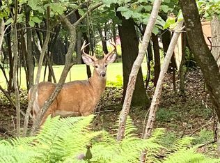 Deer Trl, Jim Thorpe, PA 18229