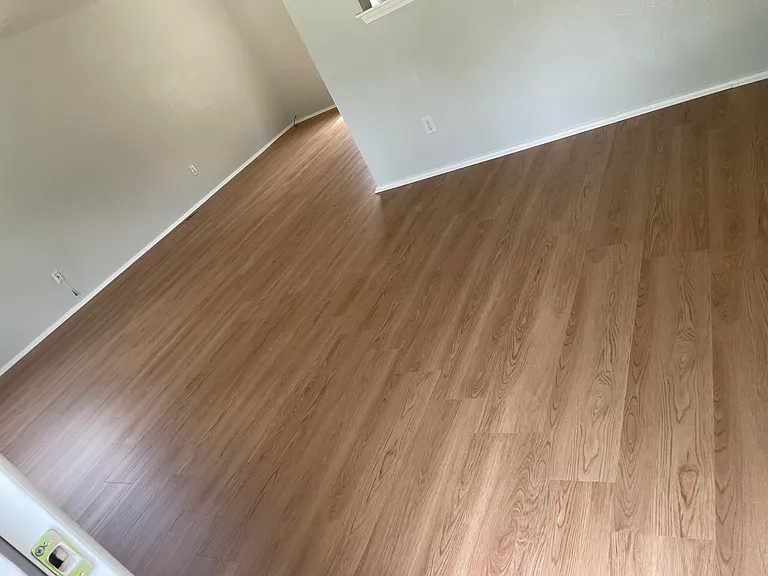 209 Cynthia Dr — Photo 11