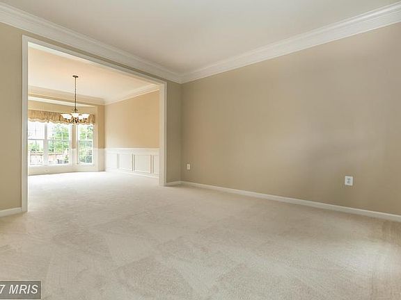 Living Room NEW Carpet