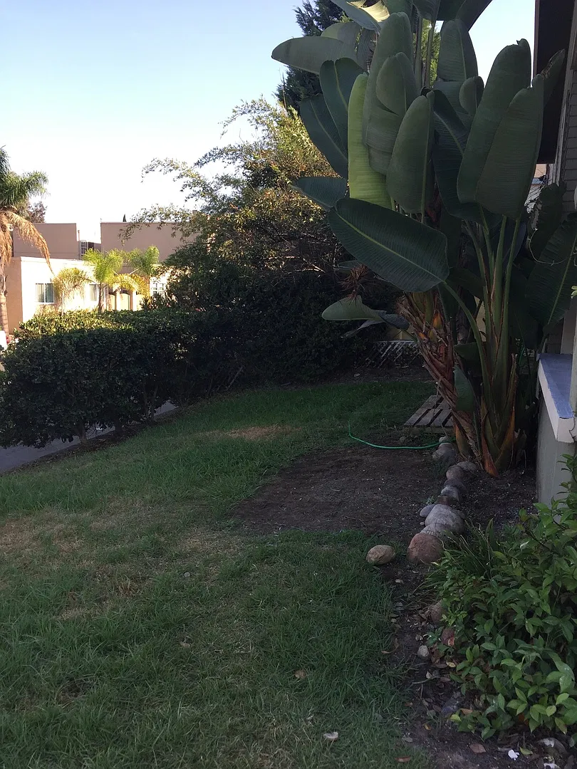 North Park/South Park -Nice 1BR/1BA Craftsman style unit w/ large yard area — Photo 4