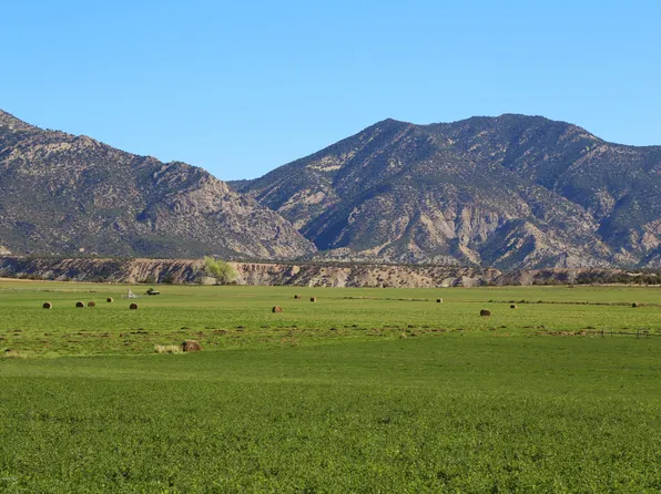 Tbd County Road 233, Rifle, CO 81650