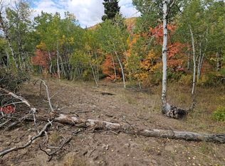 30 E Deer Valley Dr S, Fairview, UT 84629