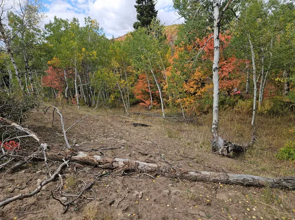30 E Deer Valley Dr S, Fairview, UT 84629