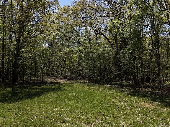 5th image of 0 Spring Creek Law Rd