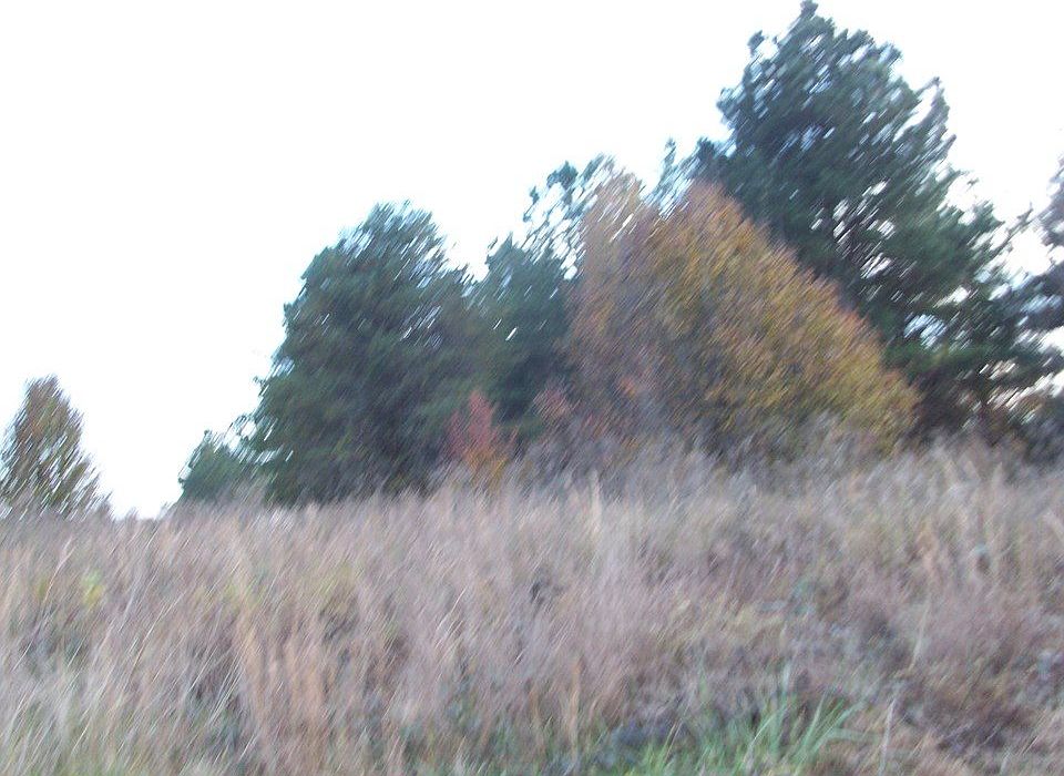 2nd image of Pierce St