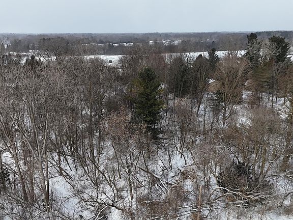 3rd image of 0 Davison Rd