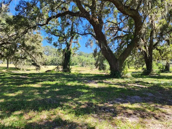 7670 NW 137TH AVENUE, MORRISTON, FL 32668