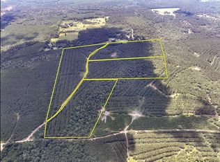 County Road 1425, Warren, TX 77664