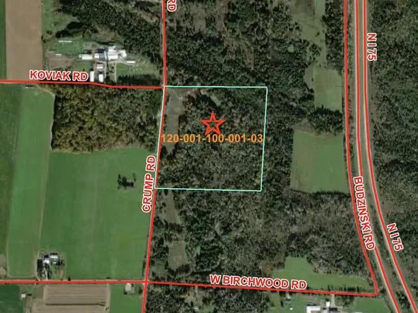 V/l Crump Rd, Cheboygan, MI 49721
