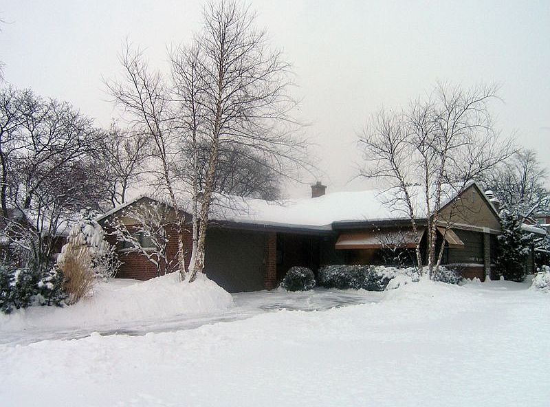 Beautiful in the Winter