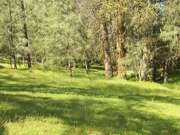 20818 Crescent Way, Groveland, CA 95321