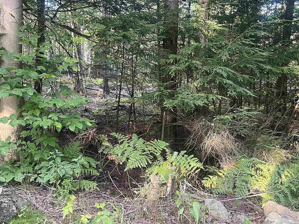 1st image of Lot 3 Clif Reynolds Road