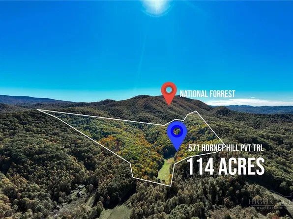 571 Hornet Hill PVT Trail, Butler, TN 37640