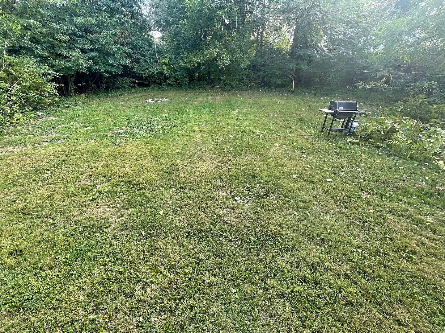 August 2027 - 4bed, 2 Bath near Campus! — Photo 3