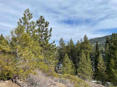 14635 E Reed Ave, Truckee, CA, 96161