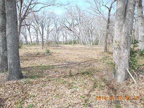 5th image of 1500 County Road 1035