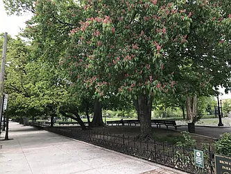 Rented by Abba Realty Associates INC