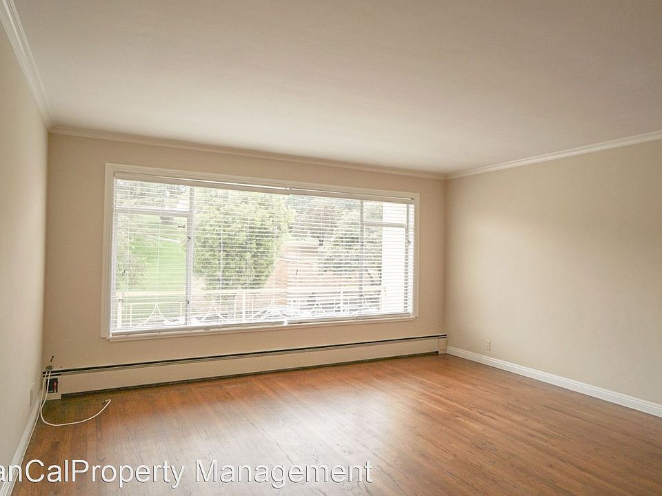 1st image of 2420 Steiner St APT 3
