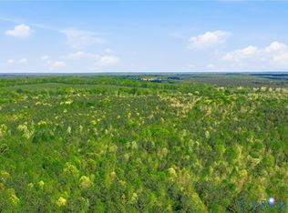LOT 2 Colemans Lake Rd Lot 2, Ford, VA 23850