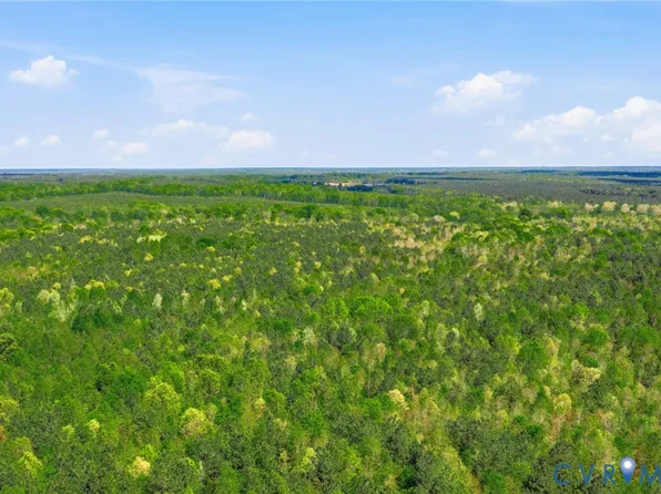 LOT 2 Colemans Lake Rd Lot 2, Ford, VA 23850