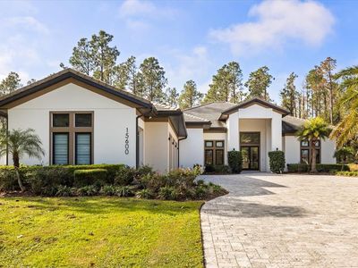 15600 Pendio Dr, Montverde, FL, 34756