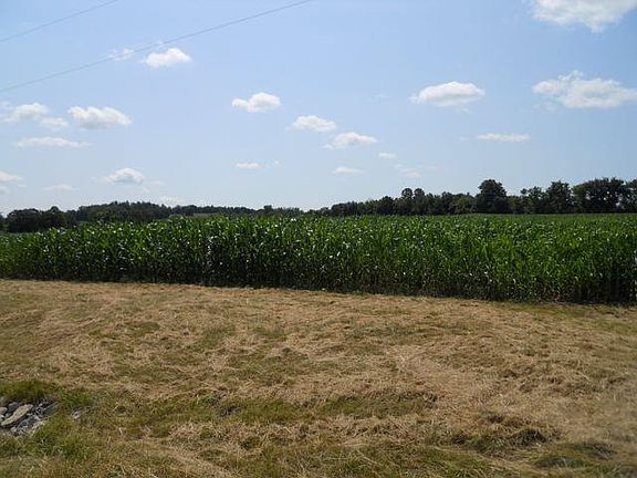 2nd image of Spruce Dr