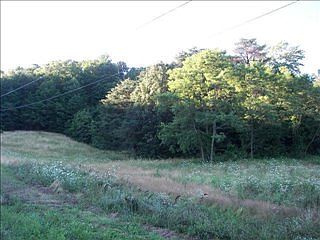 2nd image of 801 S Dogwood Dr