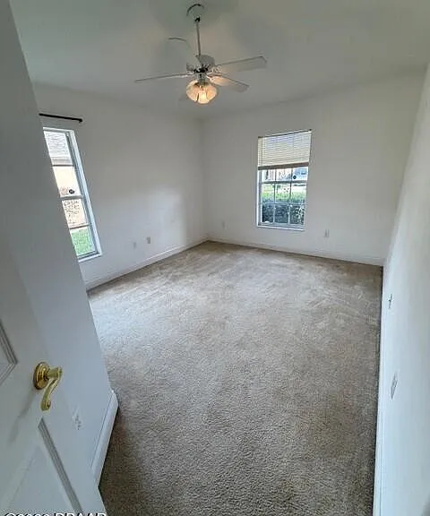 1459 Areca Palm Dr — Photo 31
