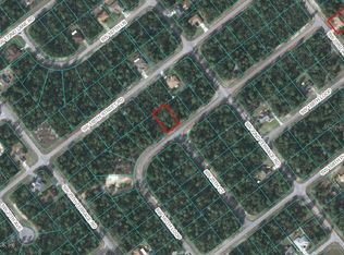 Tbd Sw 167 Loop, Ocala, FL 34473