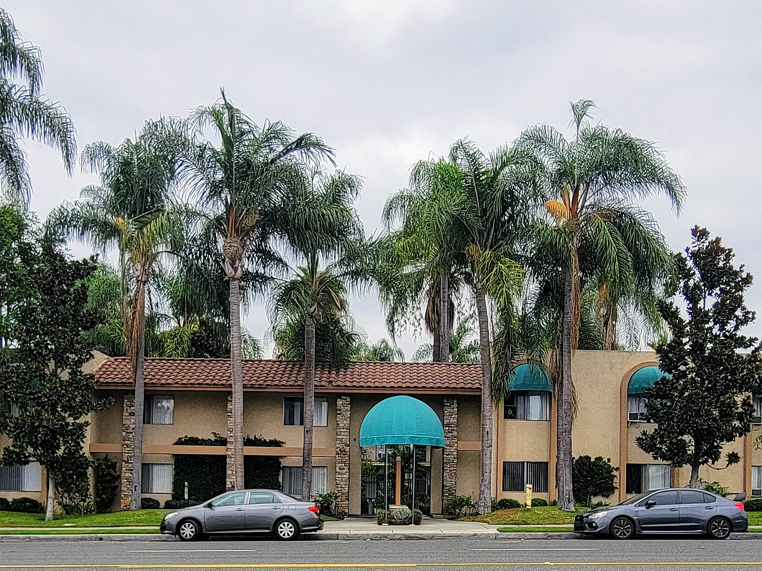 Palm Court Apartments — Photo 2