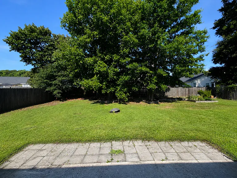 Back yard and patio