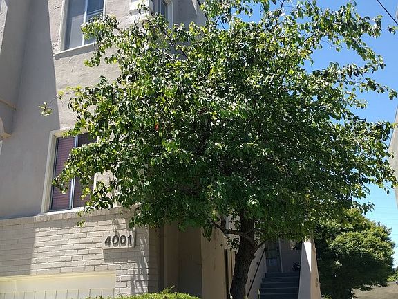 2nd image of 4001 Greenwood Ave APT 2