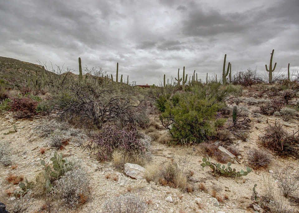 1st image of 5452 N Avenida De La Colina