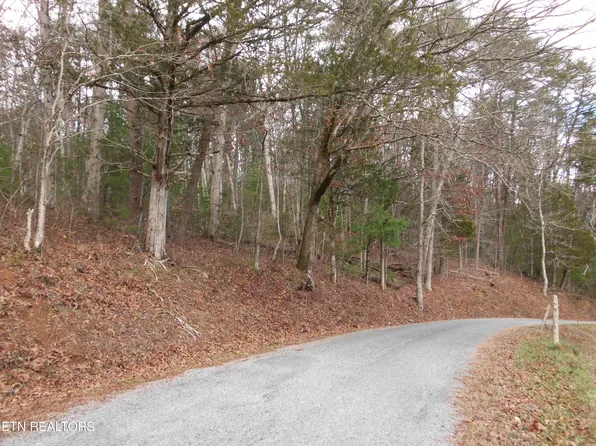 624 Creek Rd, Reliance, TN 37369