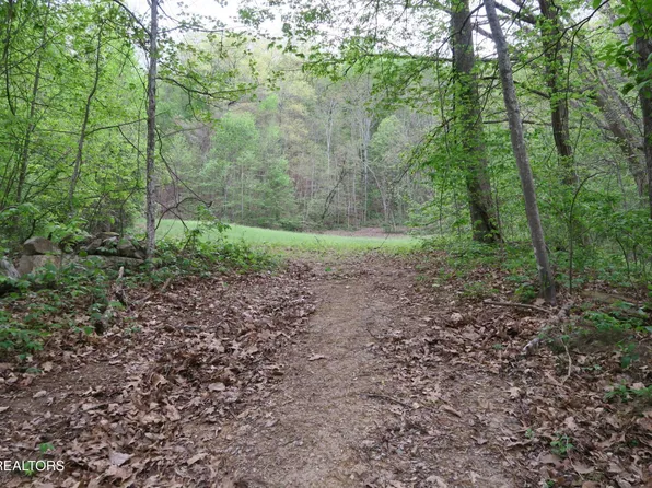 250 Mountain Side Ln, Lake City, TN 37769