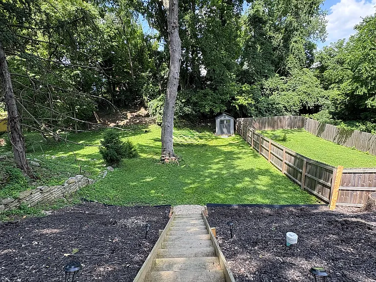 Lower backyard