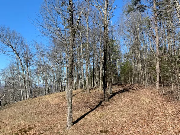 129 Bluff Ln, Laceys Spring, AL 35754