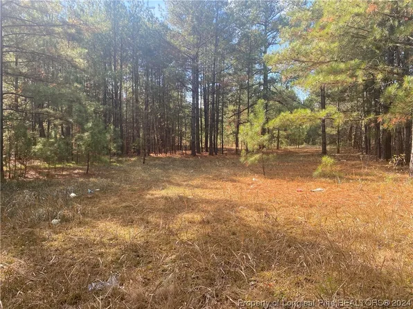 State Road 1924, Saint Pauls, NC 28384