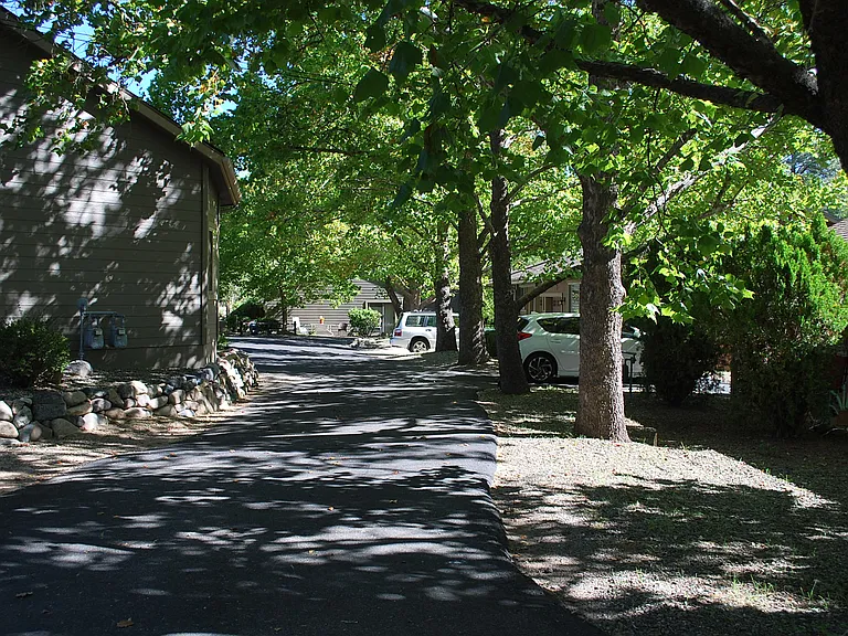 768 Forest Hylands Rd — Photo 2