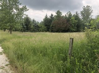 5705 Morrell Ray Rd, Bristolville, OH 44402